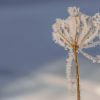 Extreme Cold Warning Issued for the Eastern Townships