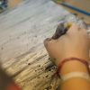 Sherbrooke Supports 16 Artistic Projects