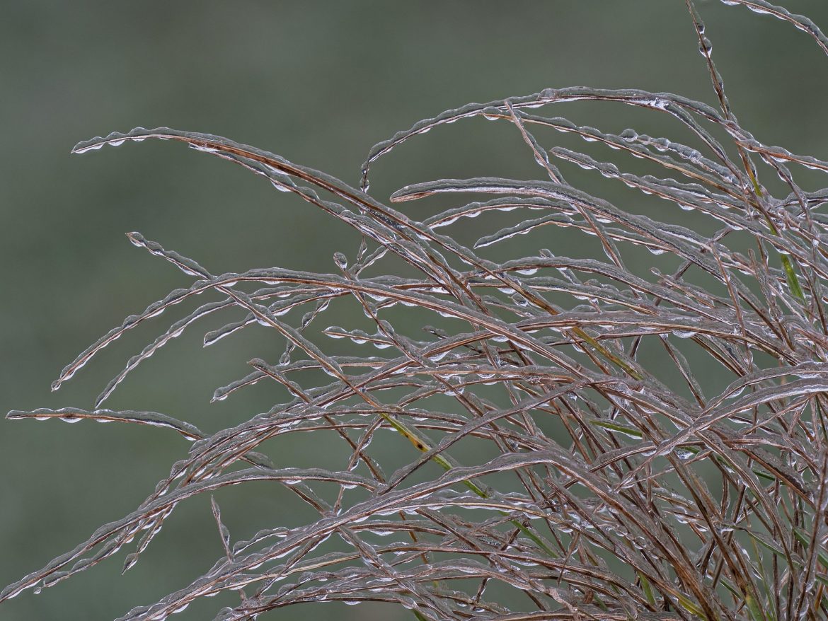 Freezing Rain
