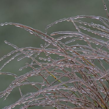 Freezing Rain
