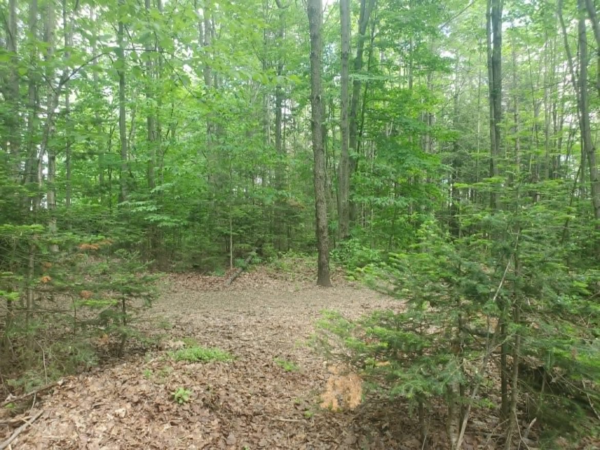 Dry Spring Conditions Raise Forest Fire Risk in Eastern Townships