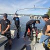 Rising Phosphorus Levels Threaten Long-Term Health of Lake Magog