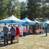 Townshippers’ Festival Celebrates Community and Celebration in Bury